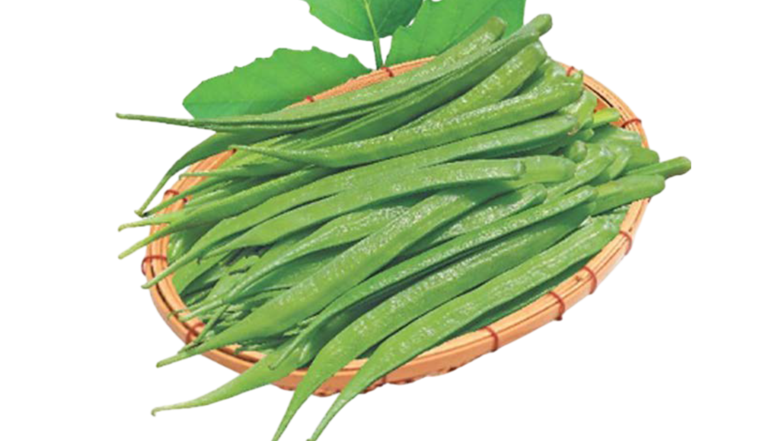 Cluster Bean